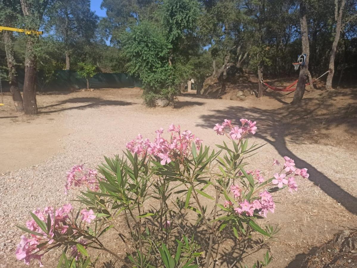 Chalet En Entorno Natural De La Costa Brava Bell-Lloc  Екстериор снимка
